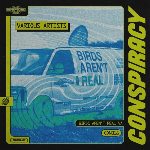 VA - Birds Aren't Real [CON018]